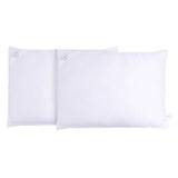KIT TRAVESSEIROS PLUS TOQUE DE PLUMA ( 800 G ) - SORTIDO